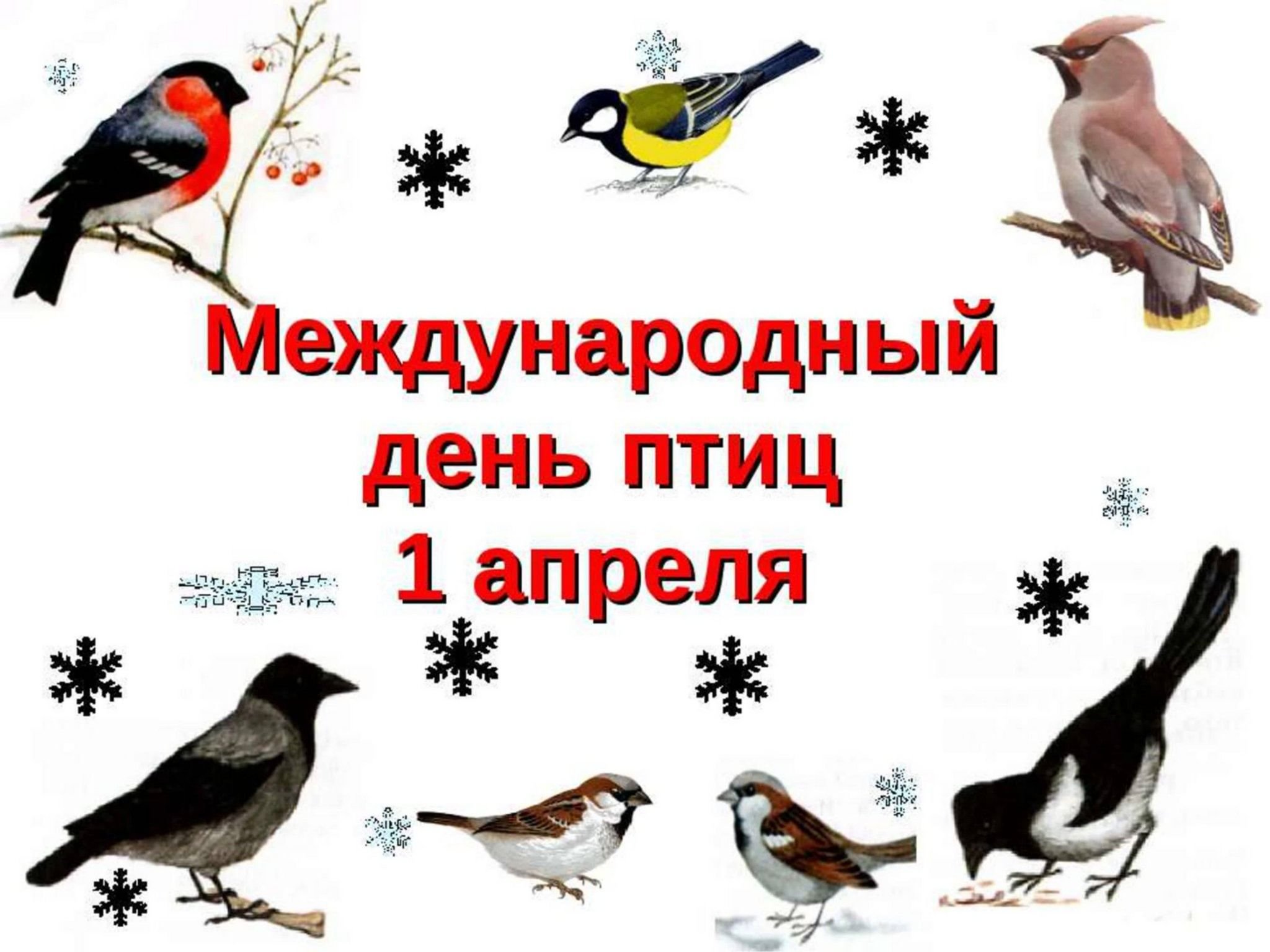 Международный день птиц. 1 Апреля Международный день птиц. Междунаровныйденьптиц. Денптицу.