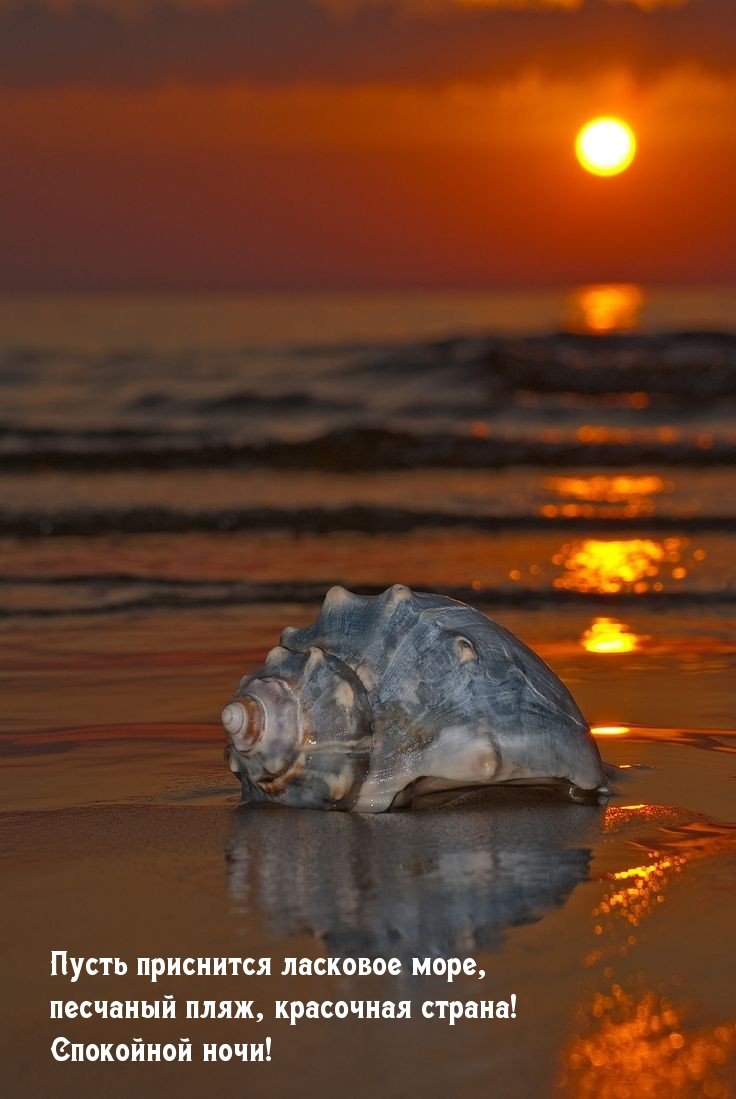 Спокойной ночи море