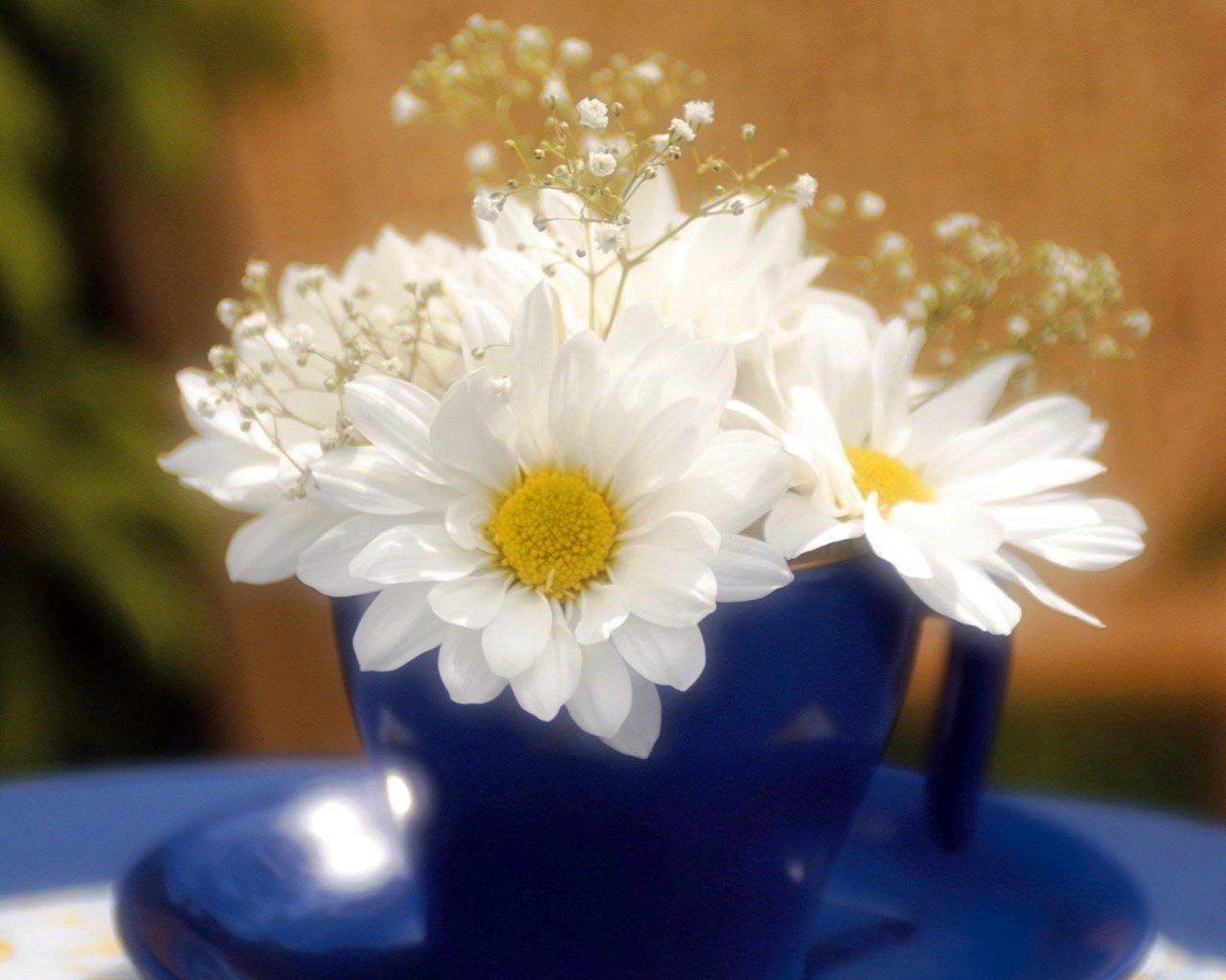 Доброго счастливого нового дня. Утренние цветы. Ромашки. Открытки с ромашками. Ромашка цветы.