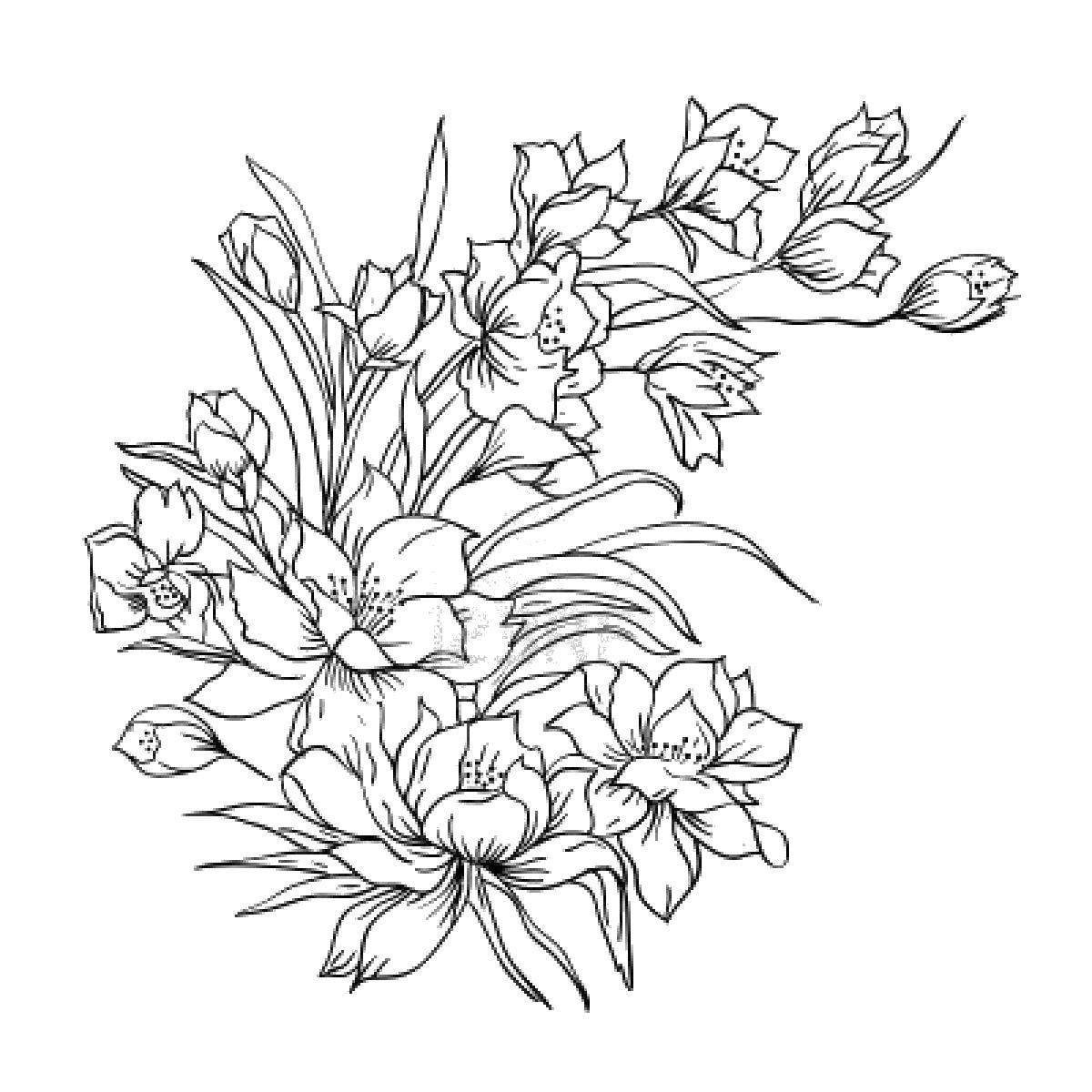 Букет цветов рисунок карандашом