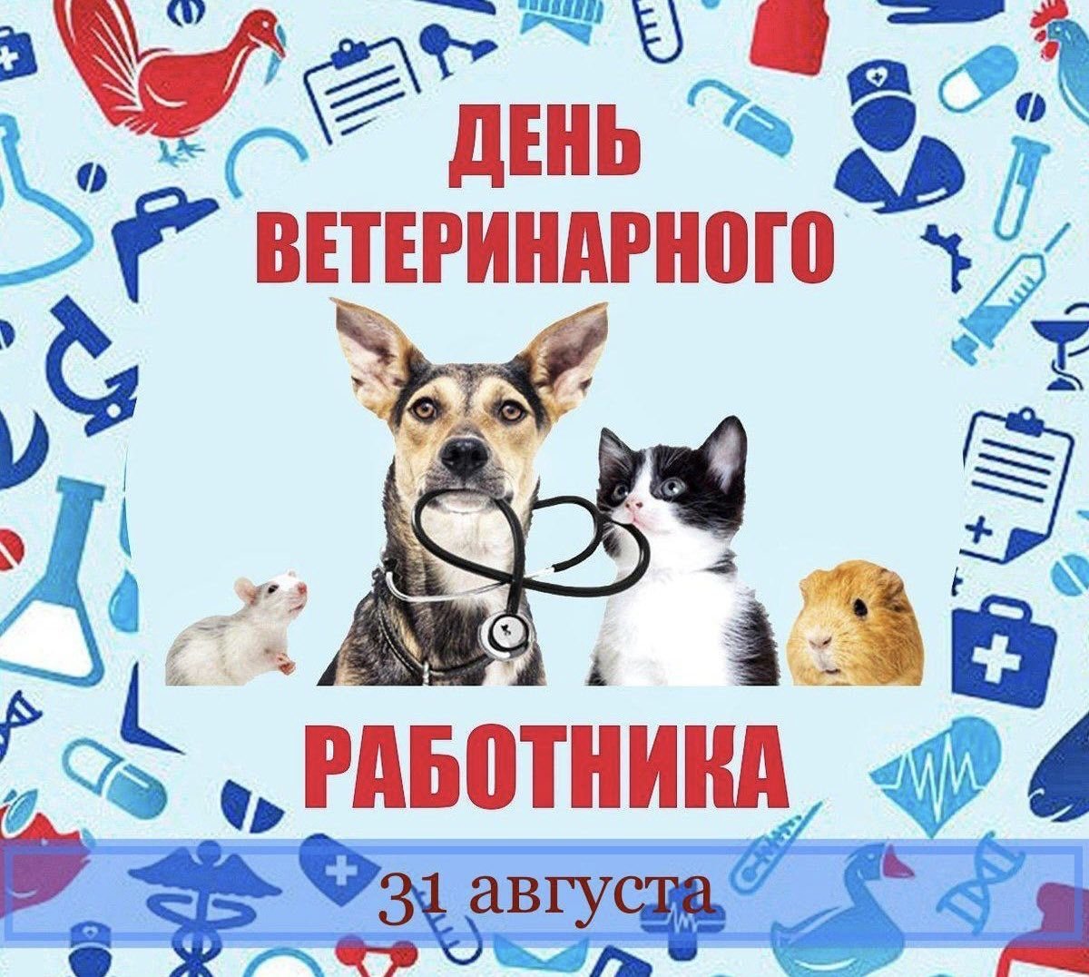 С днем ветеринара открытки