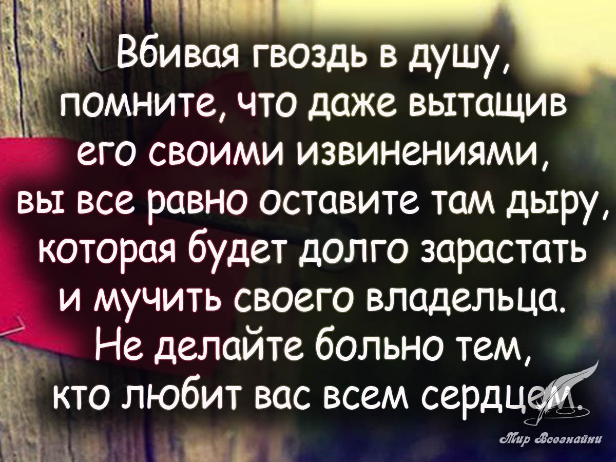 Трогательные цитаты о жизни