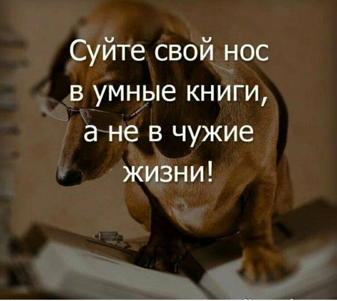 Суйте нос в умные книги а не в чужие жизни