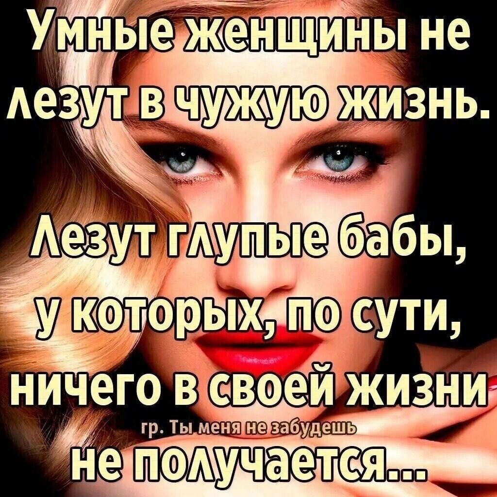Не лезьте в чужую семью цитаты