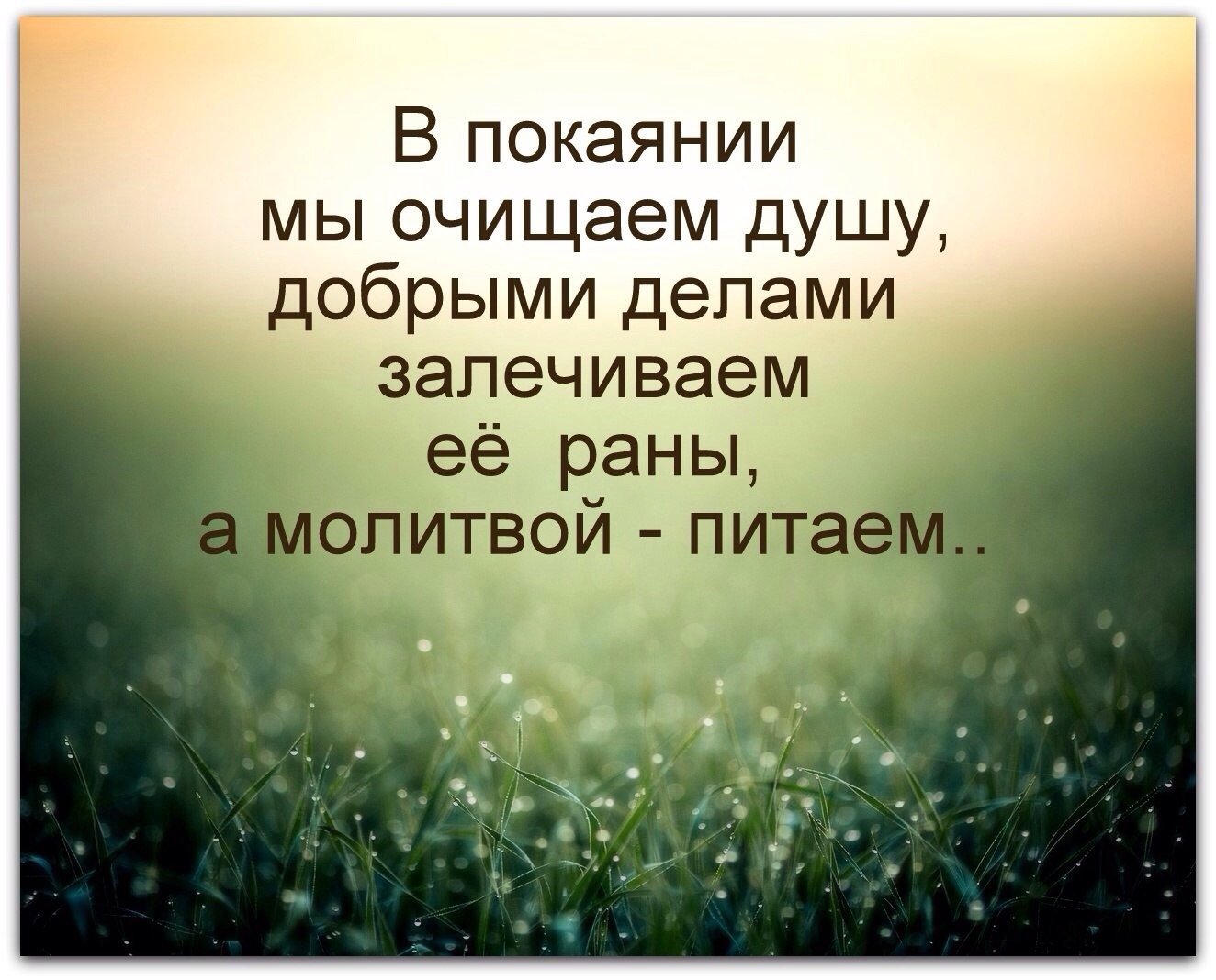 Библия о смысле жизни. Христианские высказывания в картинках. Мудрые христианские высказывания. Христианские цитаты. Христианские цитаты в картинках.