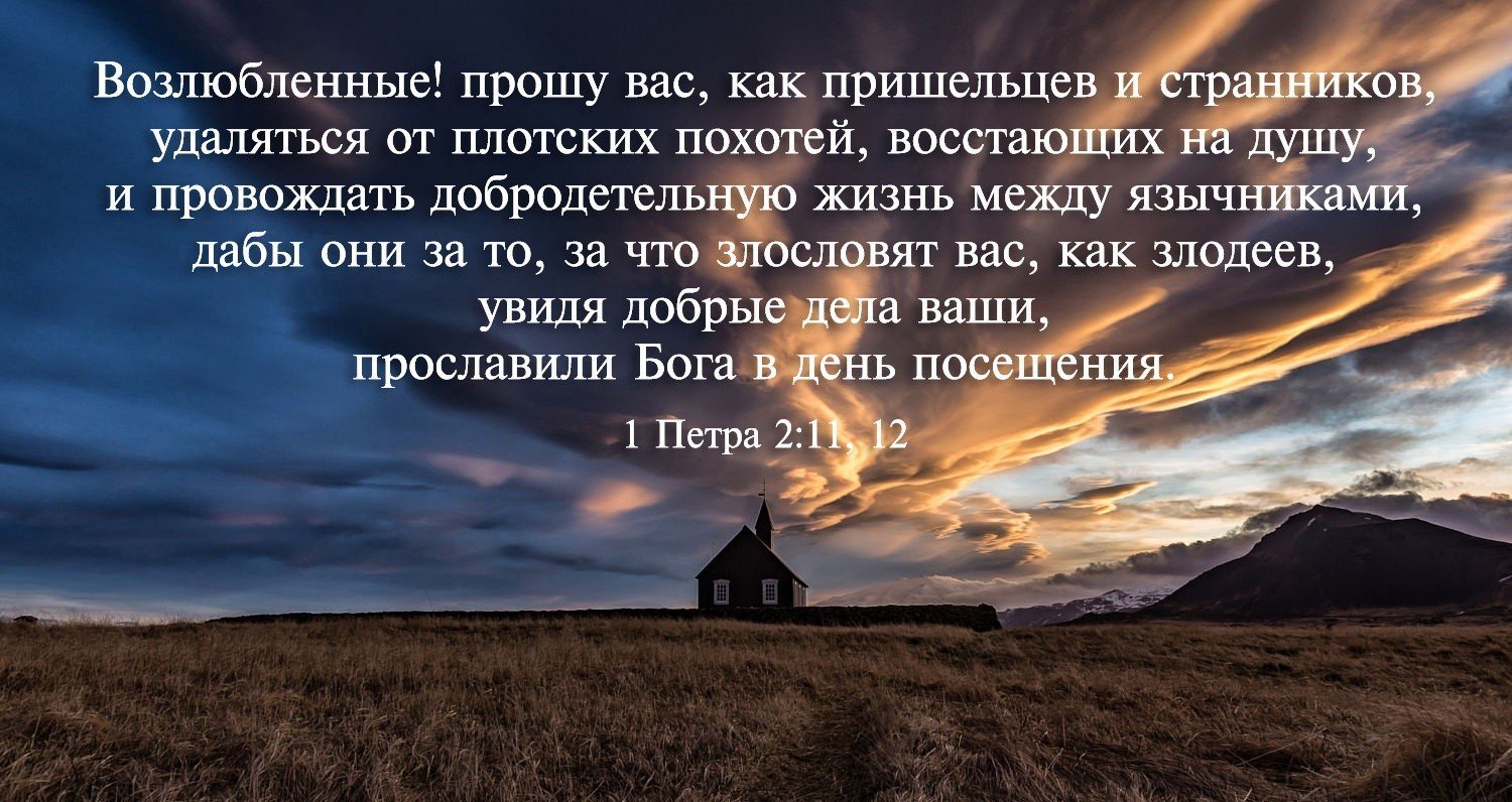 Библия о смысле жизни. Стихи из Библии в картинках. Библейские цитаты в картинках. Картинки с Цитатами из Библии. Открытки со стихами из Библии.