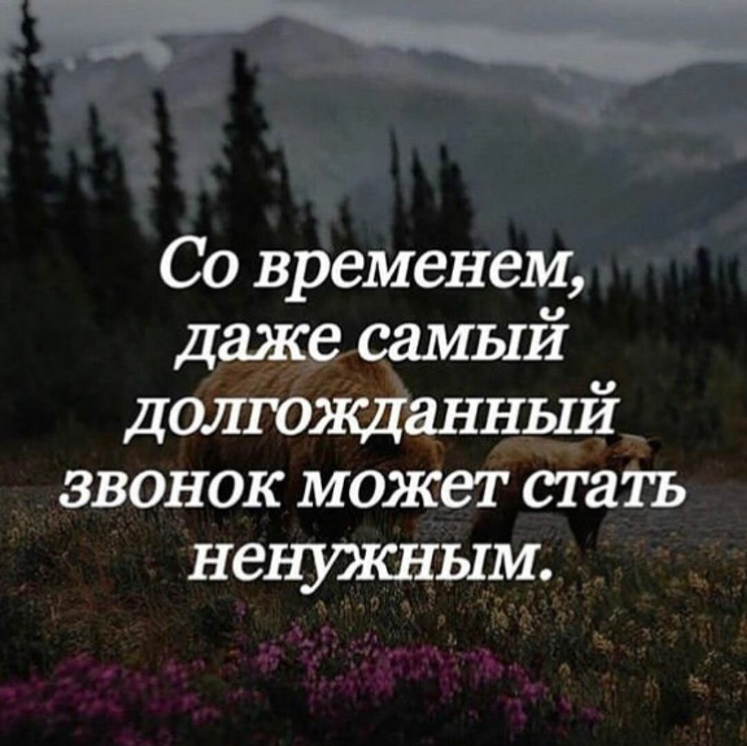 Мудрые цитаты про жизнь со смыслом короткие в картинках - 67 фото