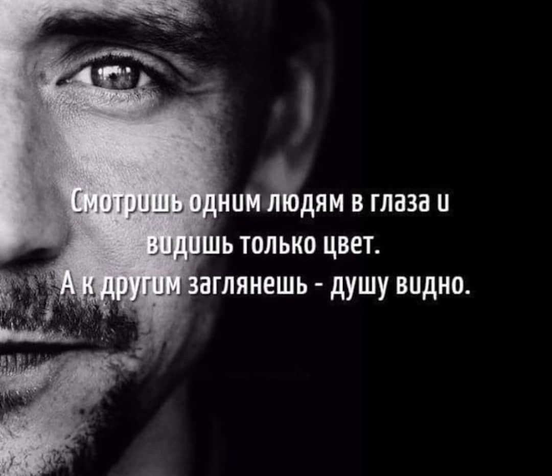 Взгляд цитаты высказывания