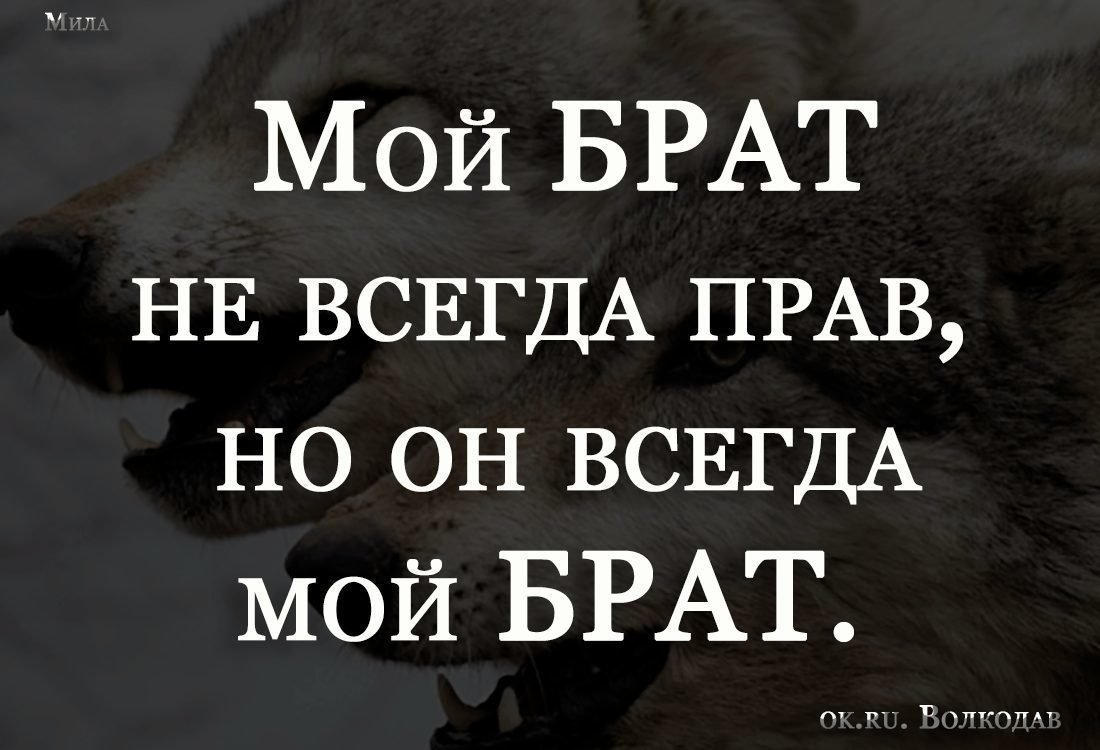 Статусы про брата