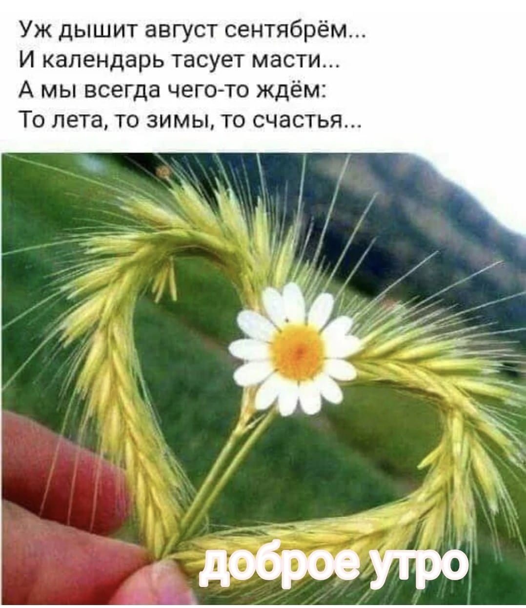 Цените свою жизнь цитаты