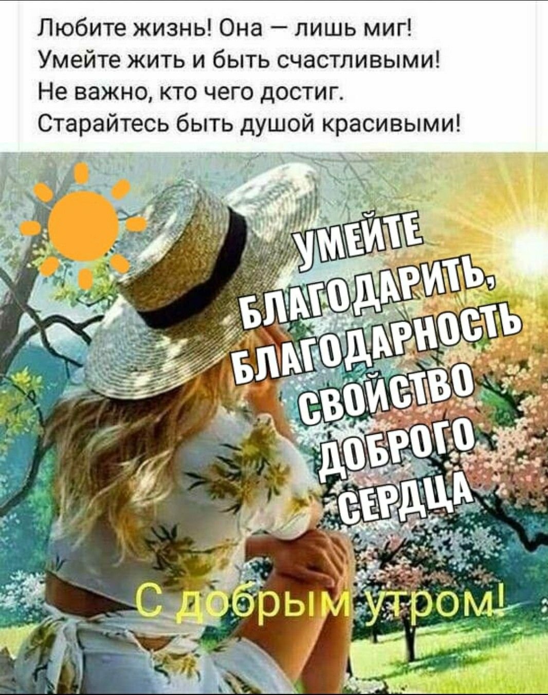 Яркая жизнь цитаты