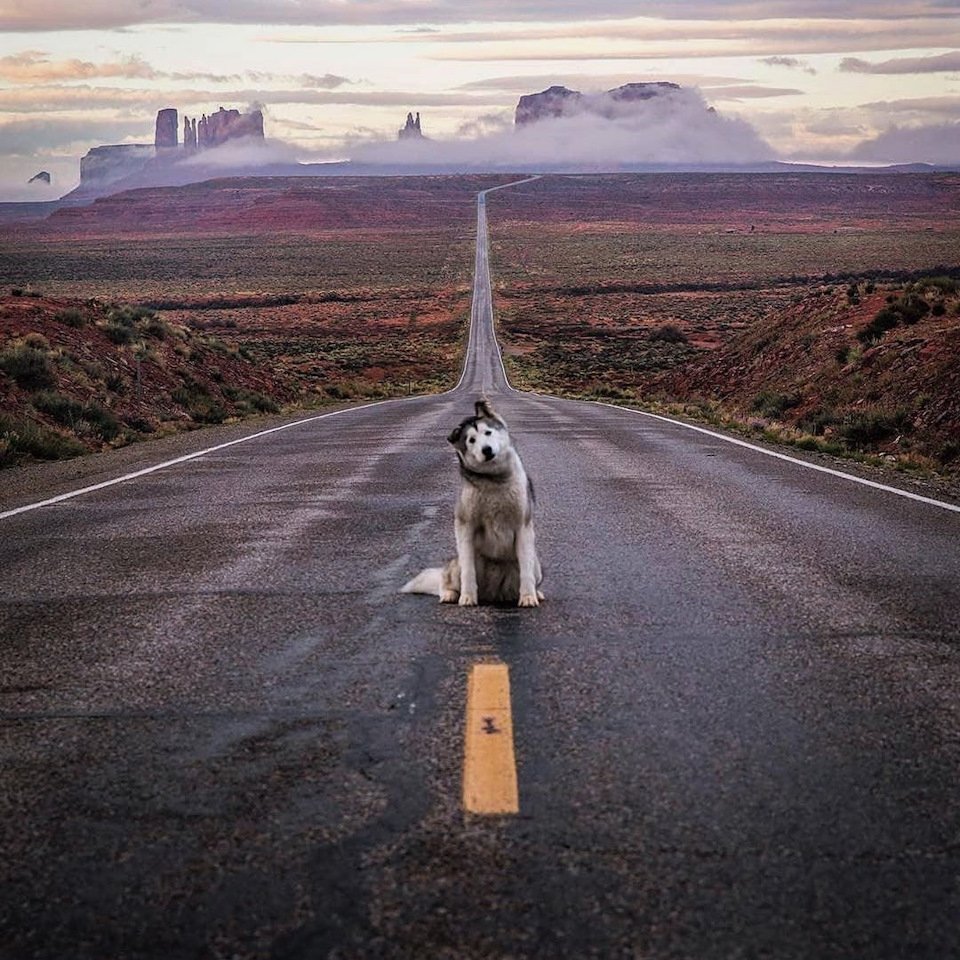 Стою на правильном пути