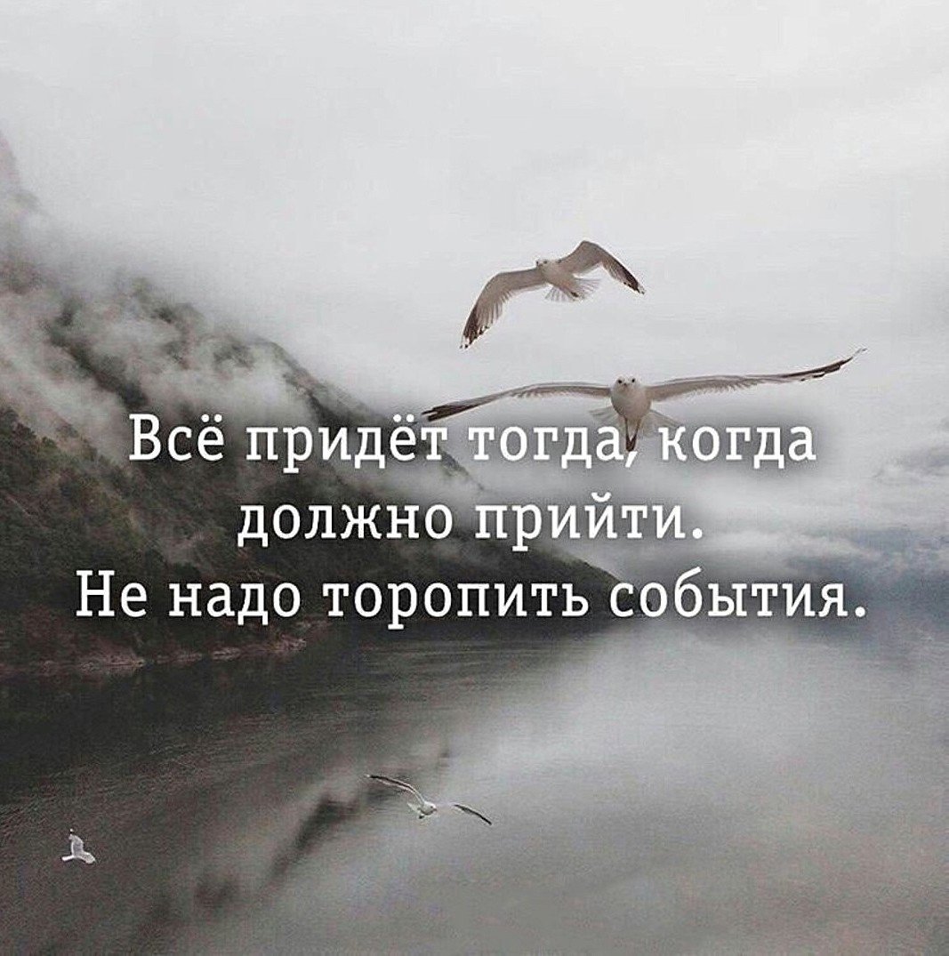 Жизнь идет своим чередом цитаты