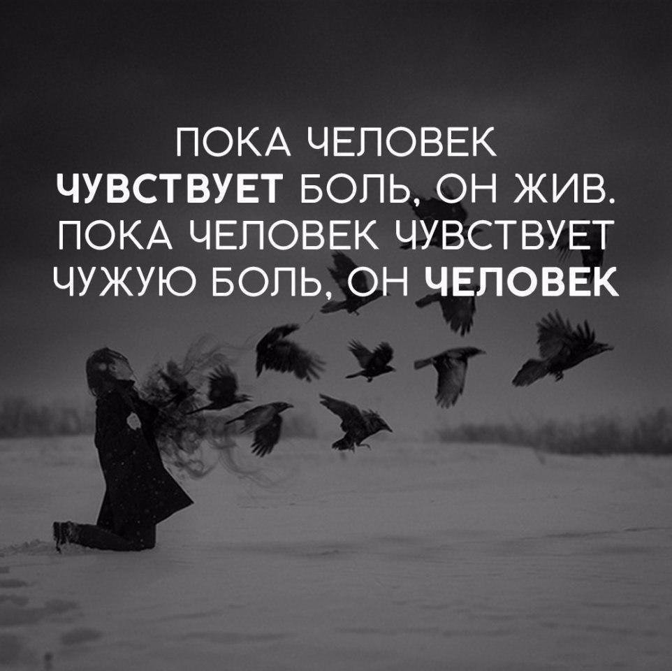 Красивые фразы