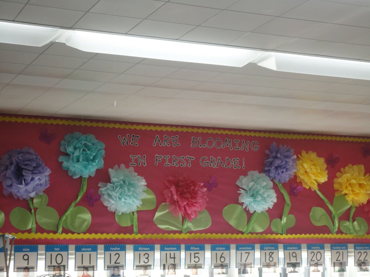 Цветы для украшения школьной доски