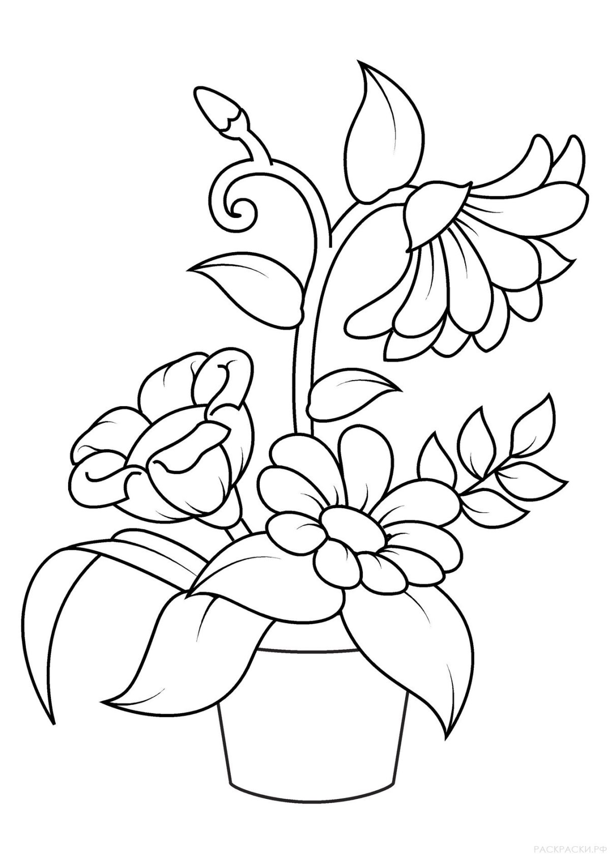 Раскраска цветочек