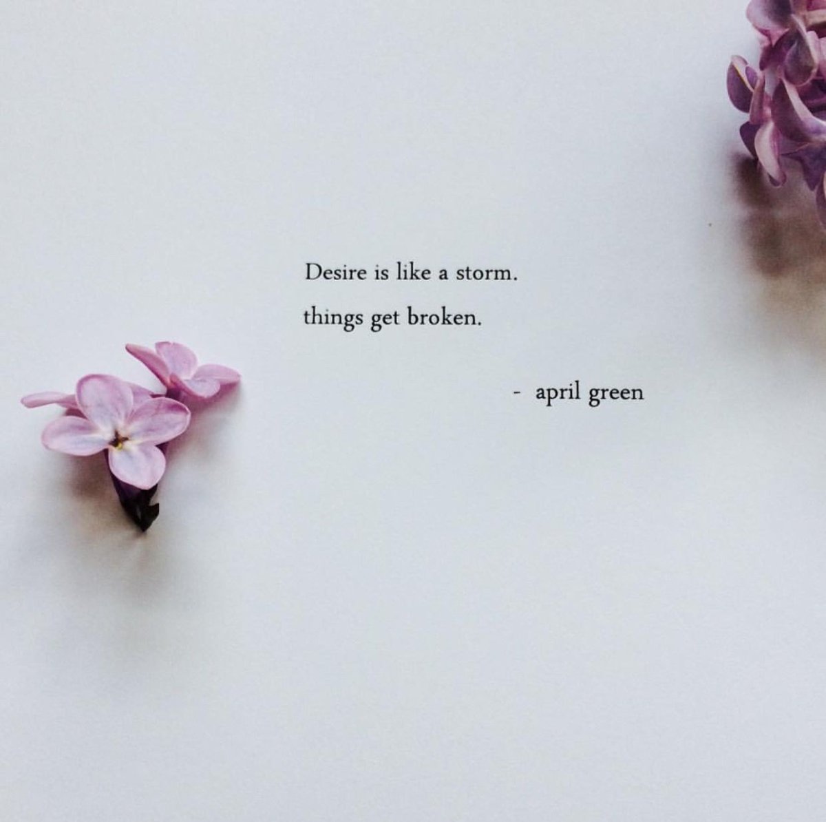 Цитата дня Эстетика