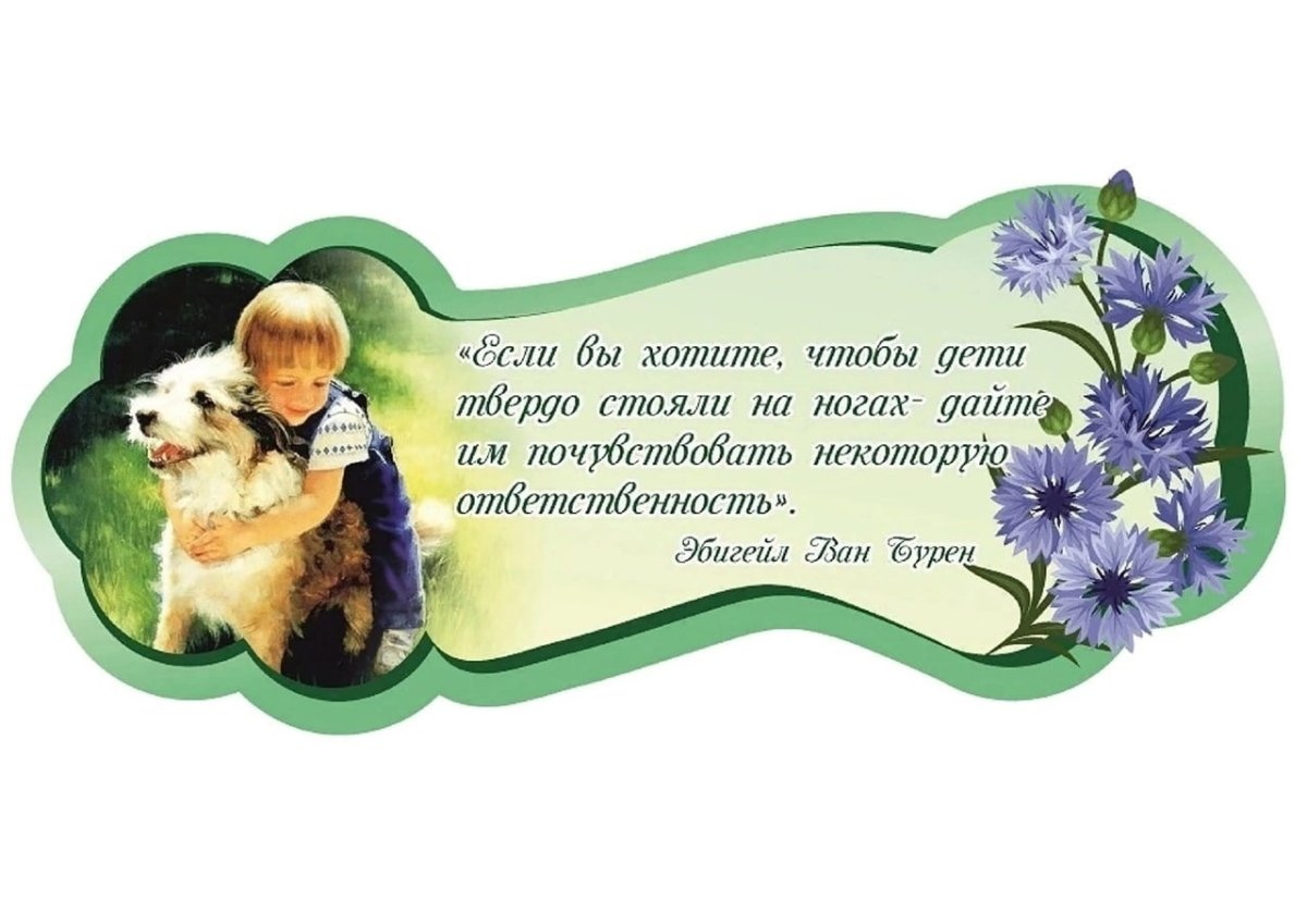 Стенды для мило