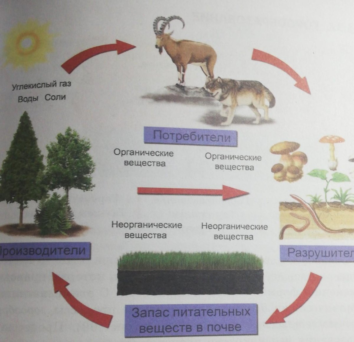 Цитаты про круговорот жизни