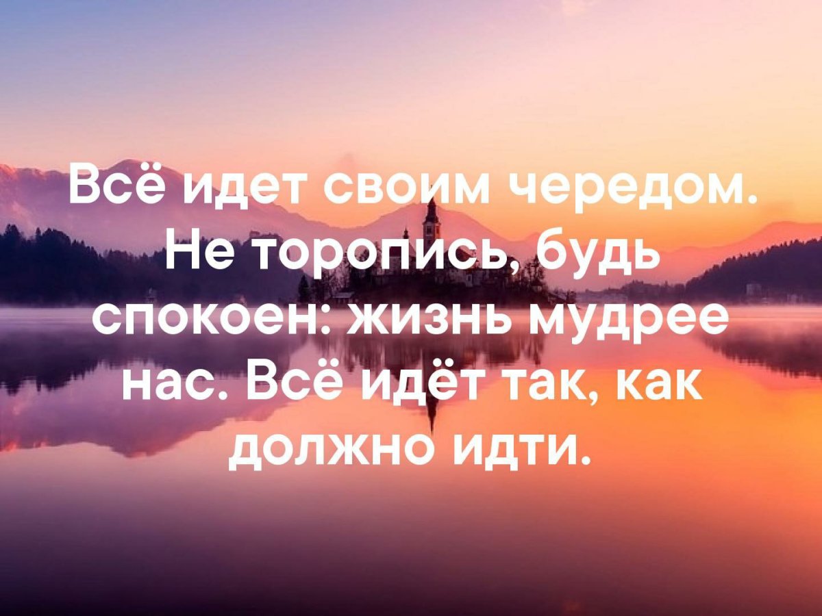 Все идет своим чередом