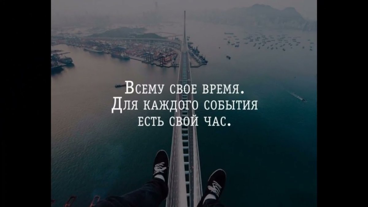 Всему своё время цитаты