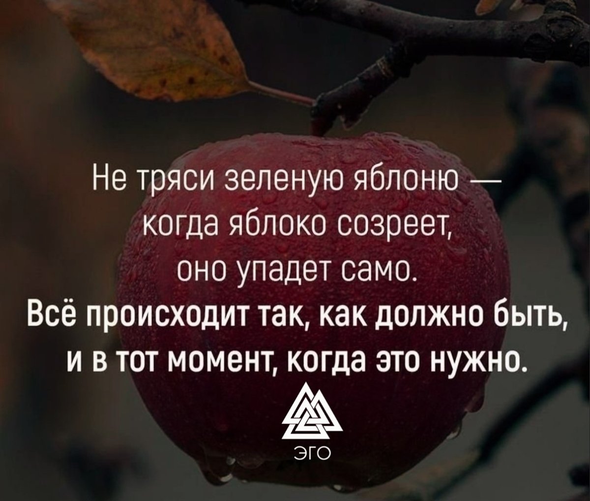 Все так Каа должн о быть