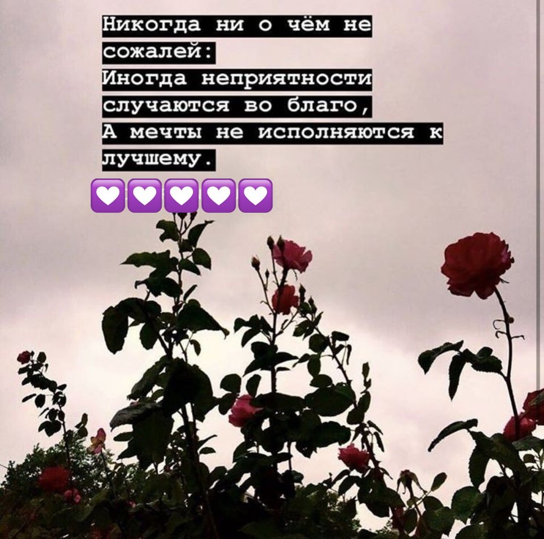 Цитаты для подростков со смыслом