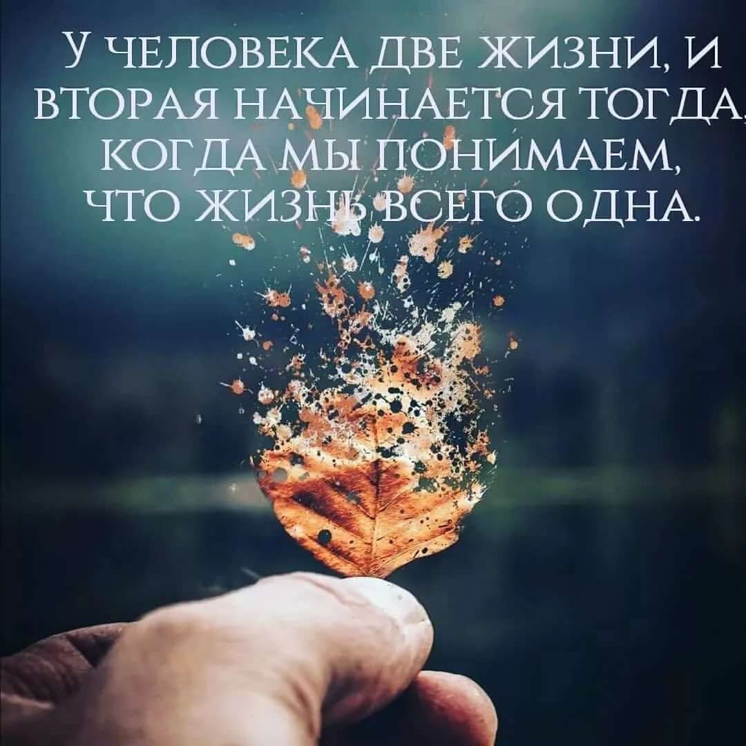 Цитаты цените жизнь