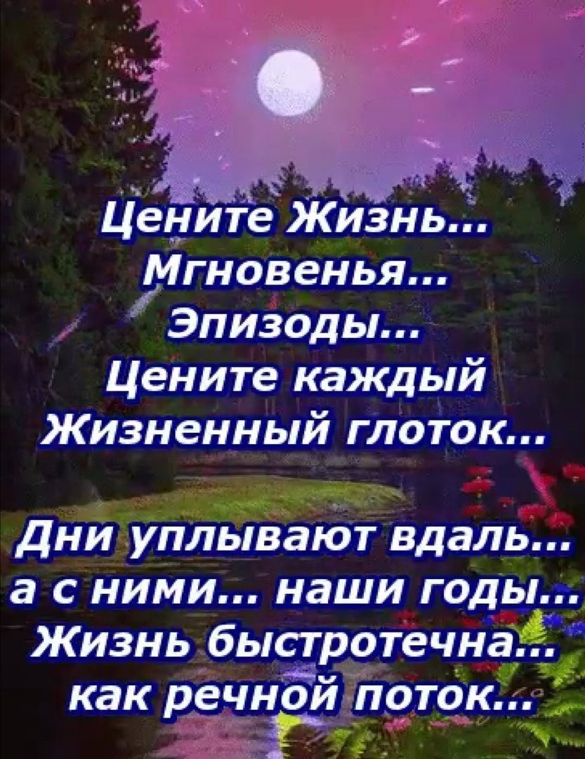 Цените <b>жизнь</b> цитаты. 