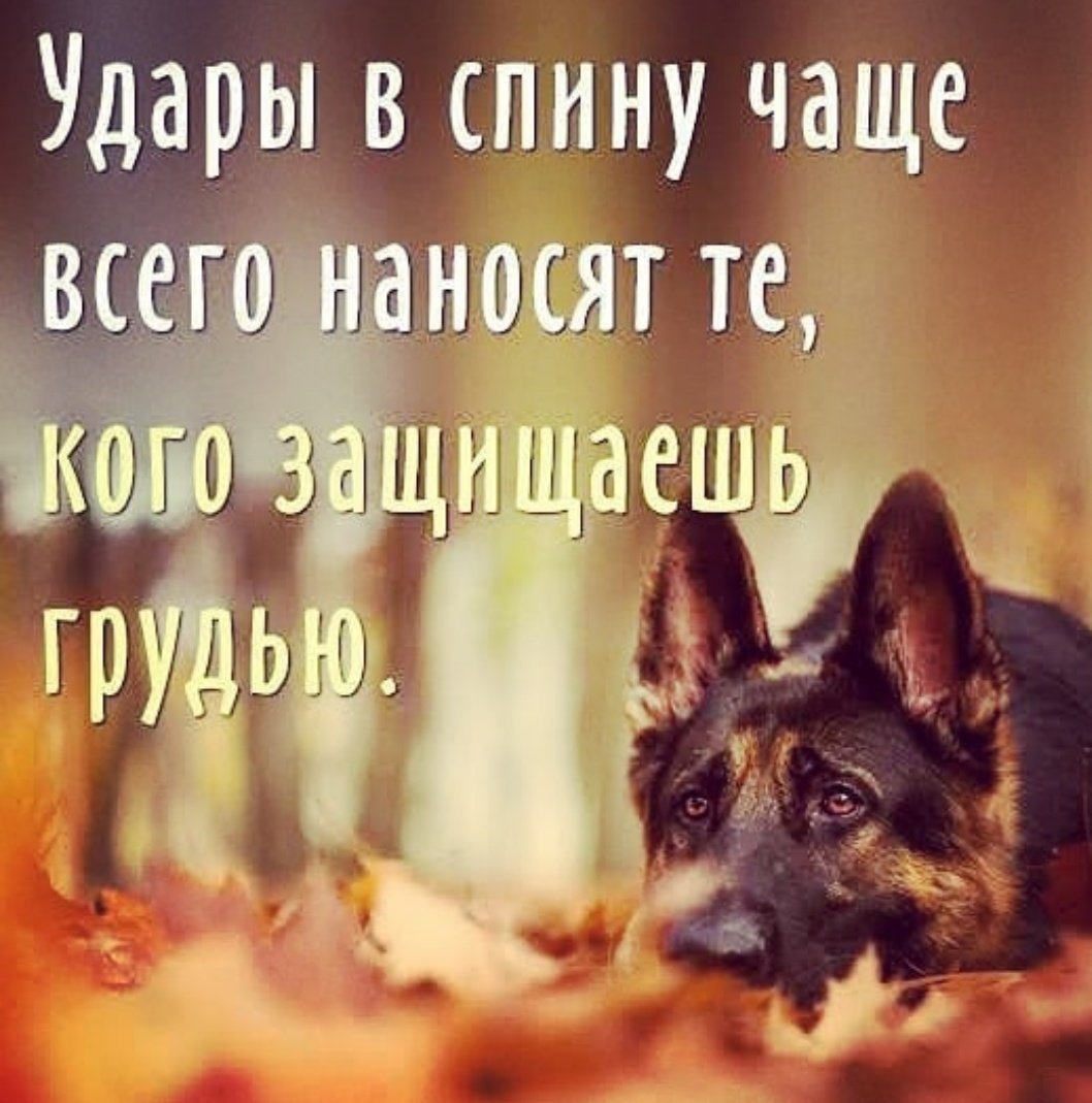 Высказывания о предательстве близких