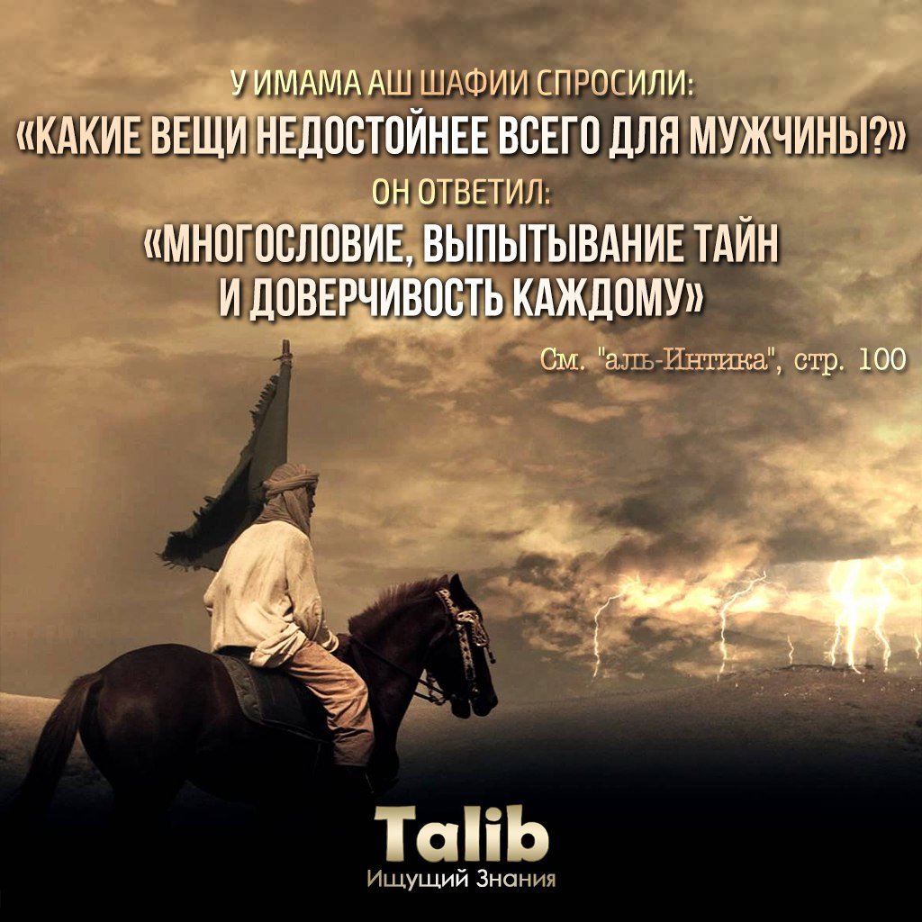 Чеченские цитаты