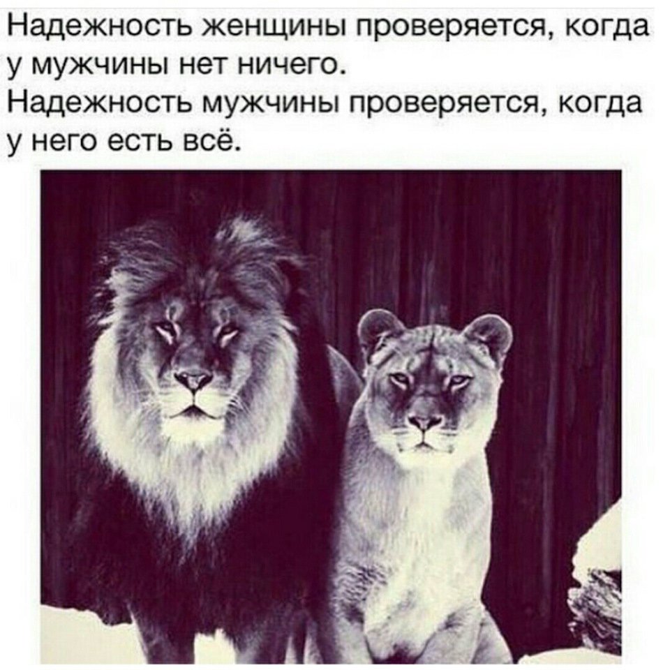 Цитаты со смыслом