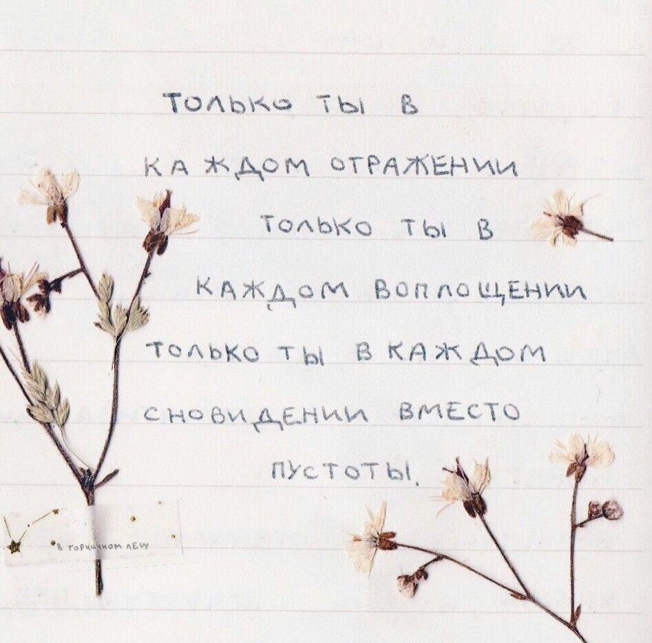 Фразы Эстетика