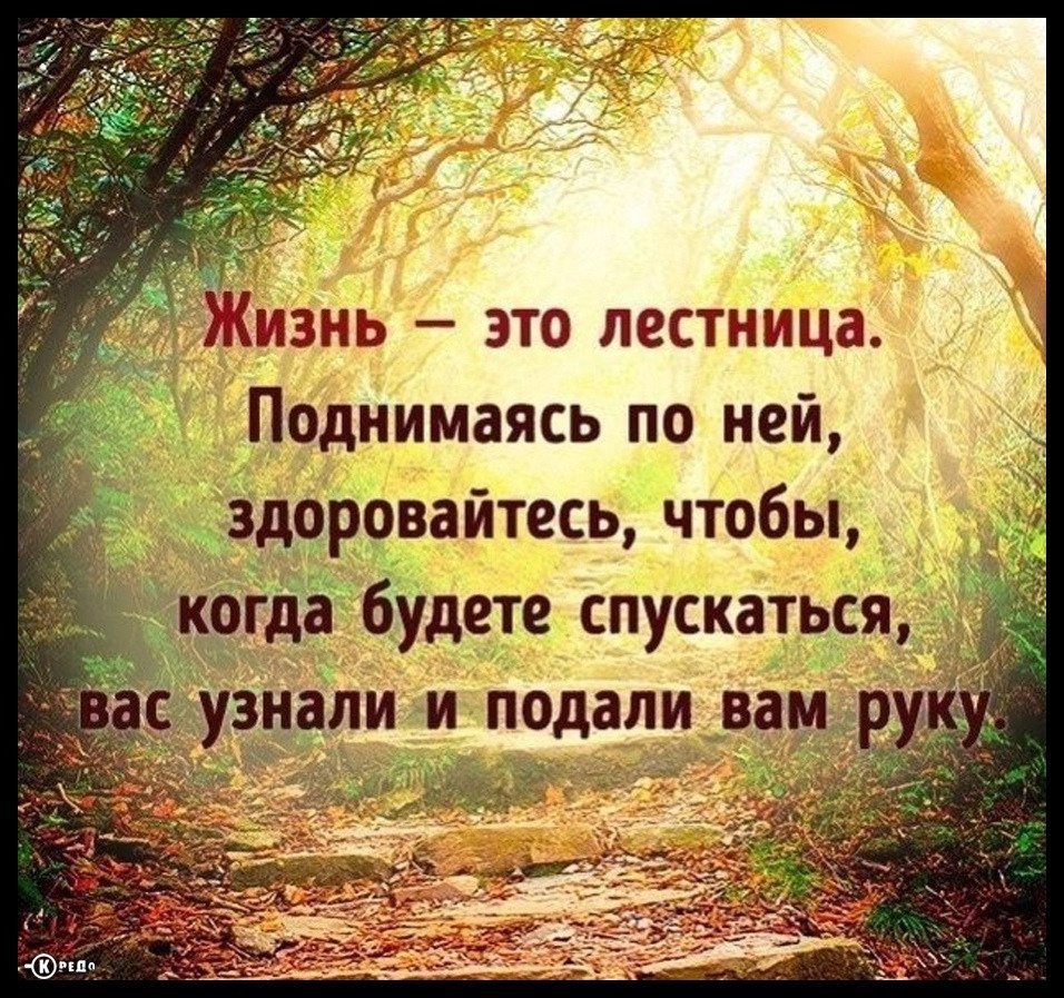 Умные цитаты