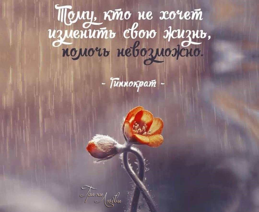 Красивые цитаты