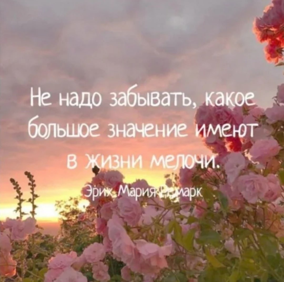 Счастье в мелочах цитаты