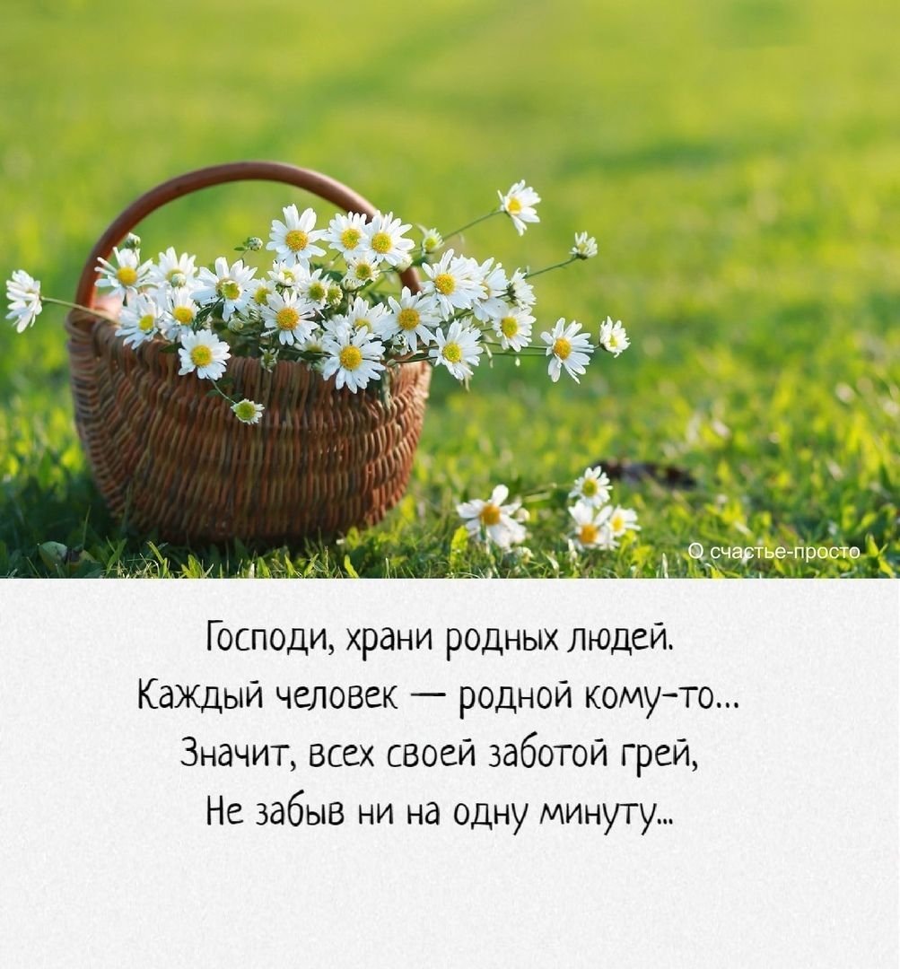 Высказывания о счастье