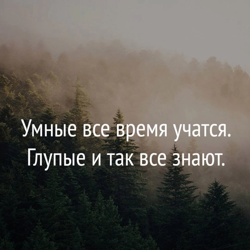 Умные фразы