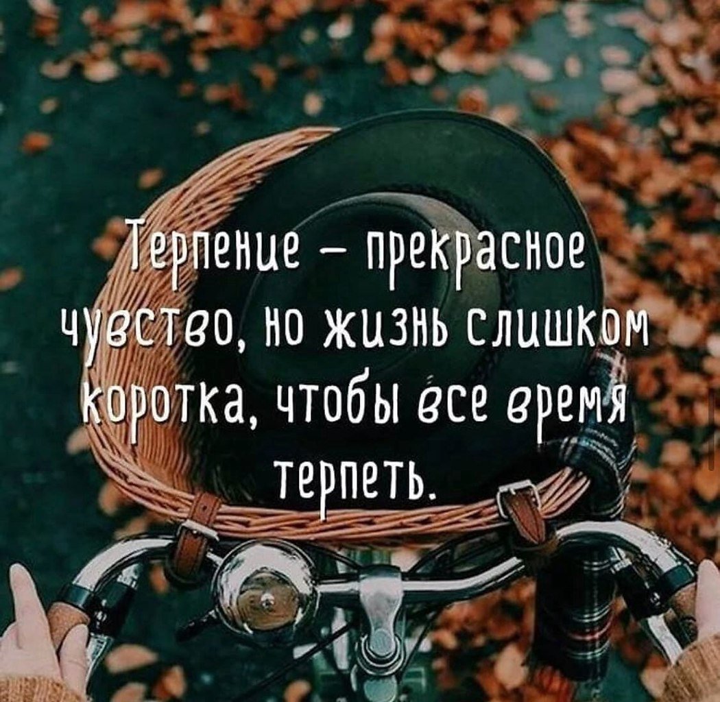 Терпение цитаты