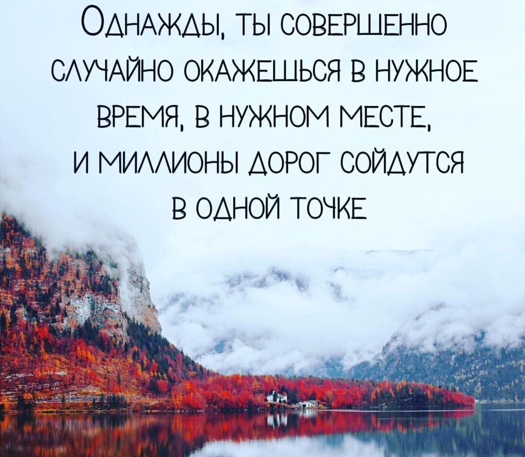 Красивые цитаты