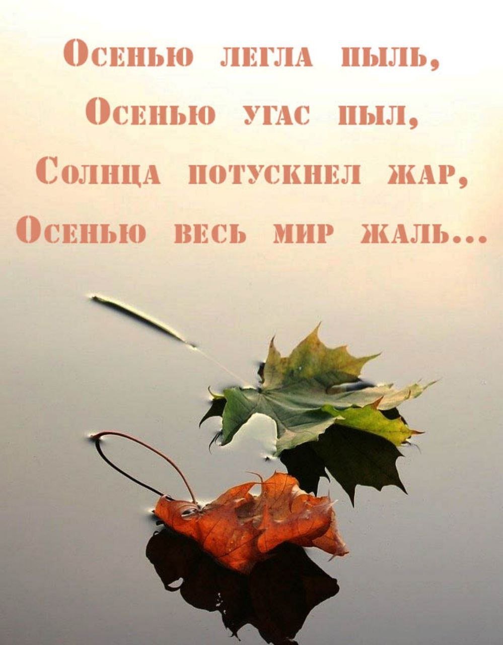 Осенние фразы