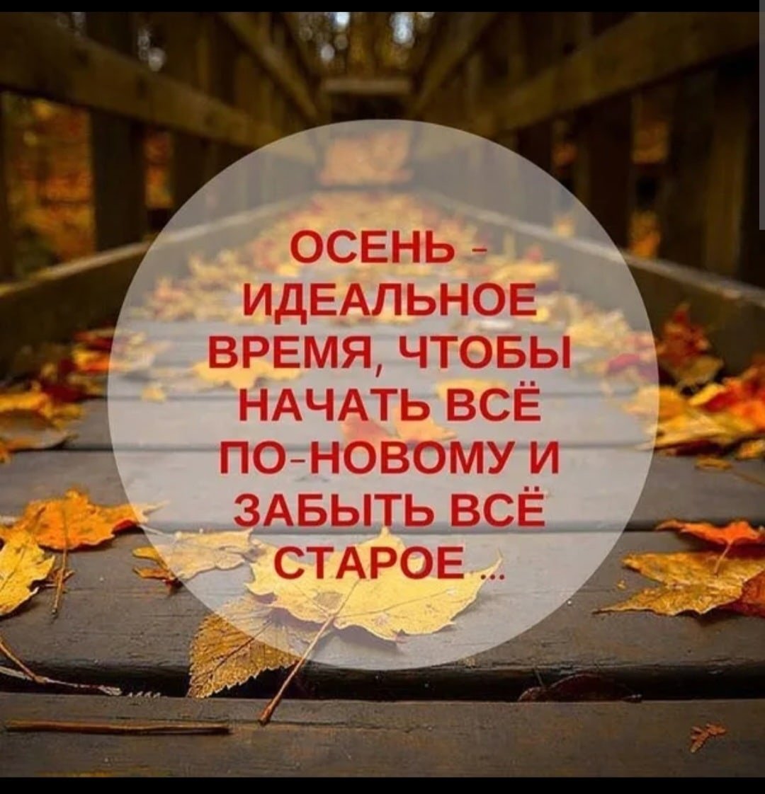Цитаты про осень
