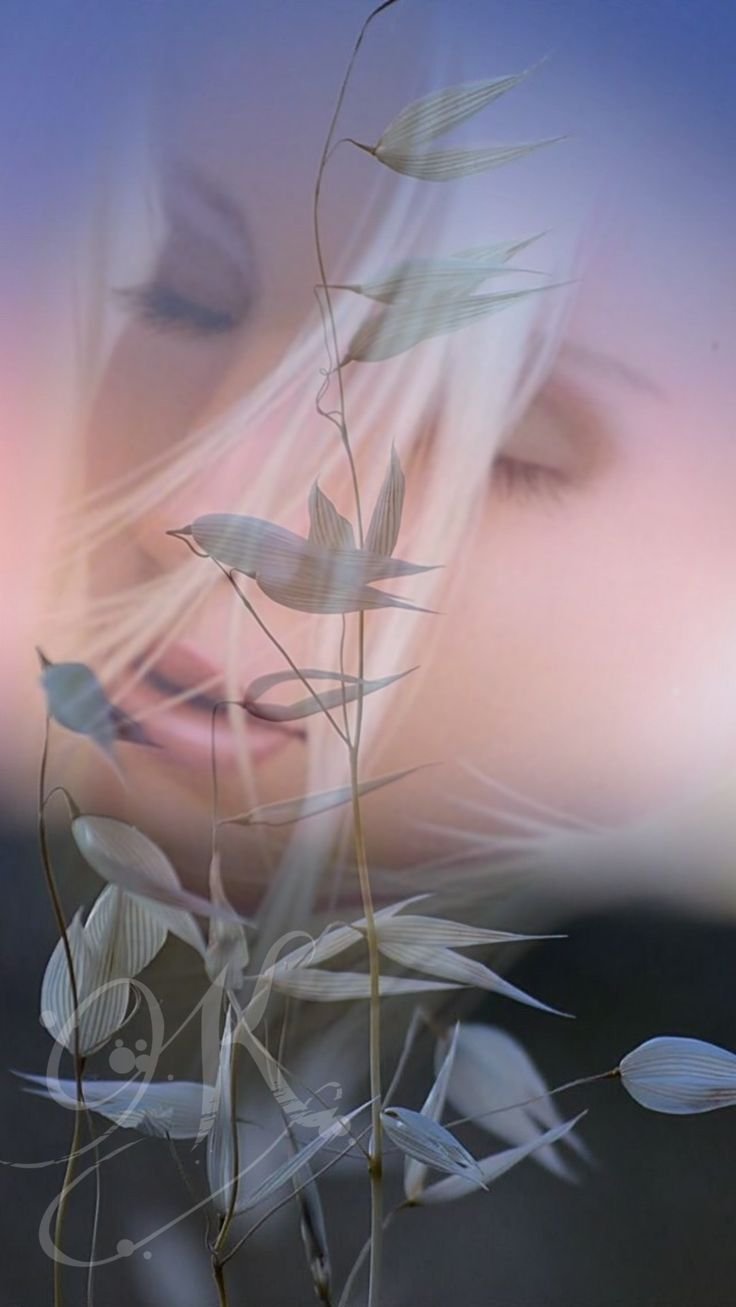 Иллюзия любви арт