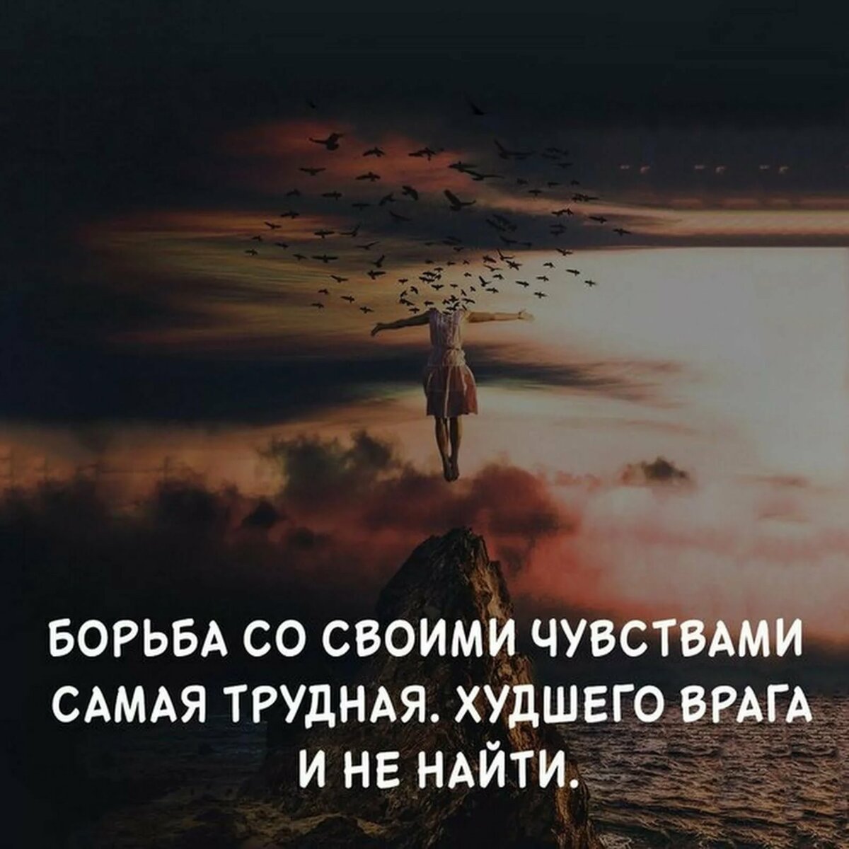 Красивые цитаты