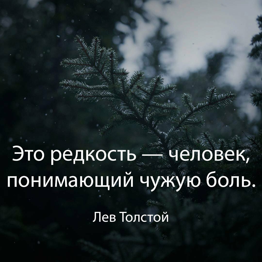 Цитаты со смыслом короткие