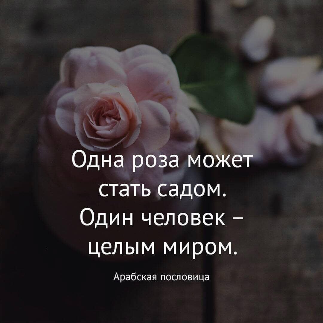 Красивые цитаты