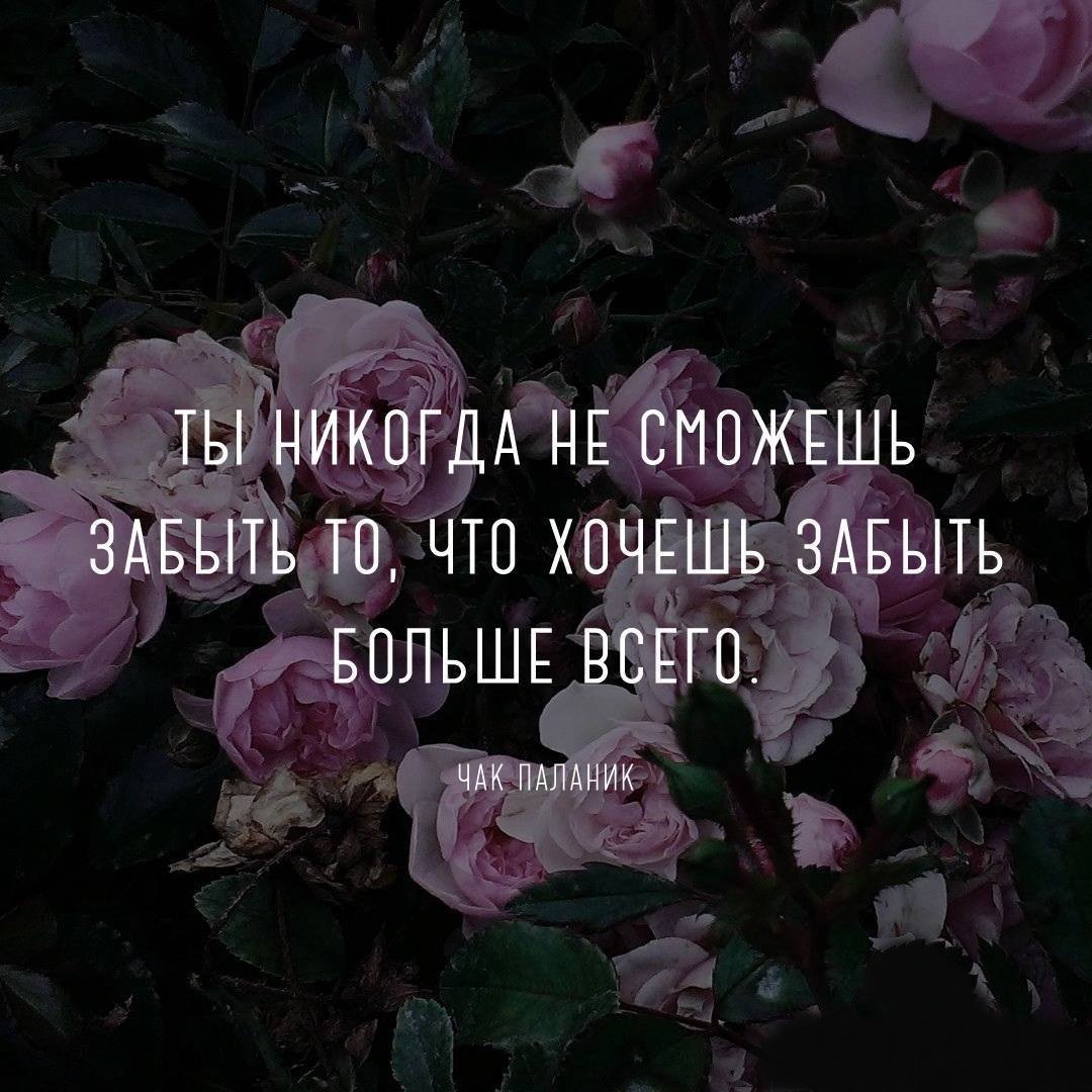 Крутые цитаты для инстаграмма