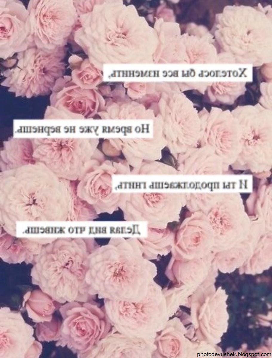 Цитаты из инстаграмма про любовь