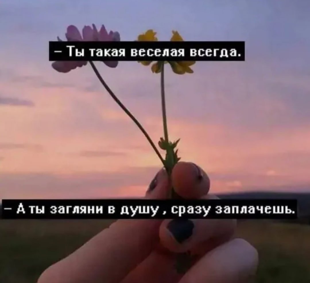 Сохры цитаты