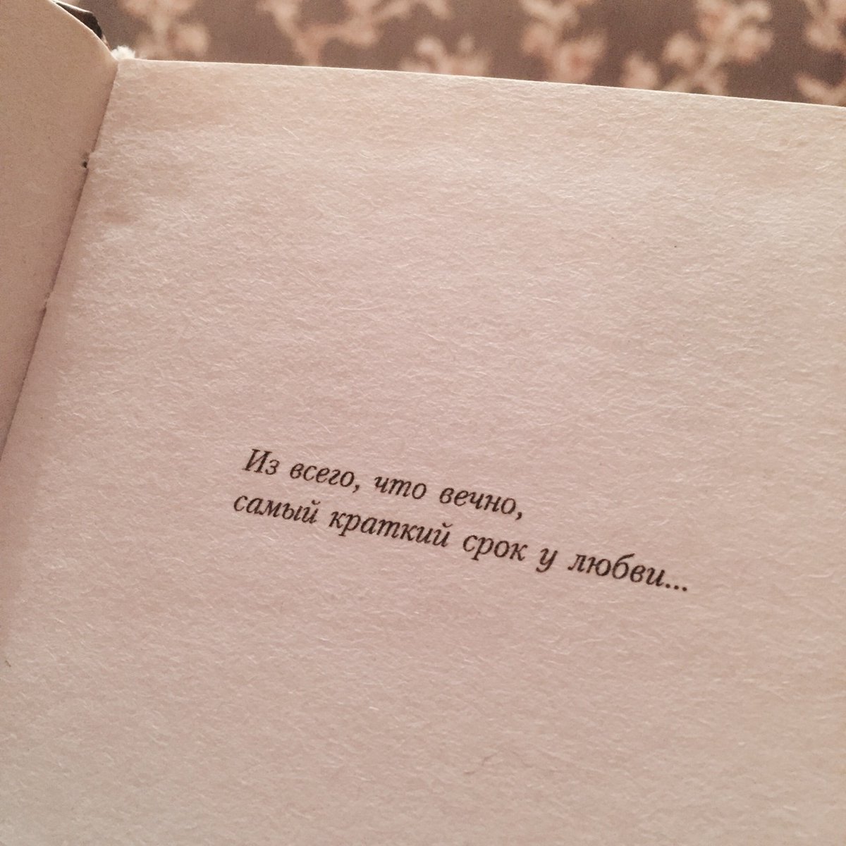 Красивые строки о любви из книг